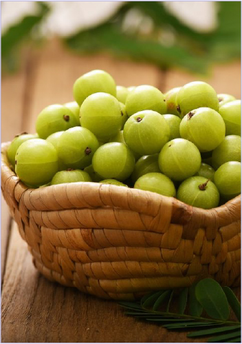 AMLA