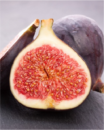 ANJIR (FIG)