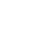 Malaria and dengue due to mosquitoes