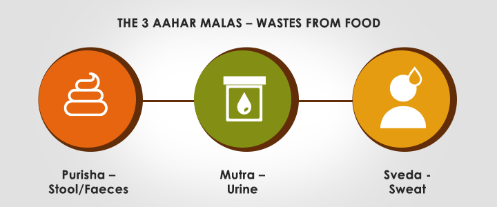 THE 3 AAHAR MALAS – WASTES FROM FOOD