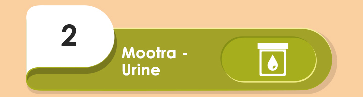 
Mootra - Urine: 8 Point Diagnosis