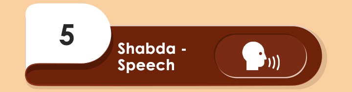 
Shabda- Speech: 8 Point Diagnosis