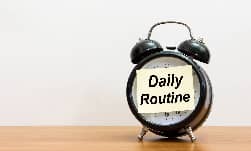 Maintain a daily routine
