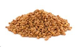 Fenugreek