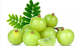 amla