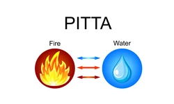 What is Pitta dosha?